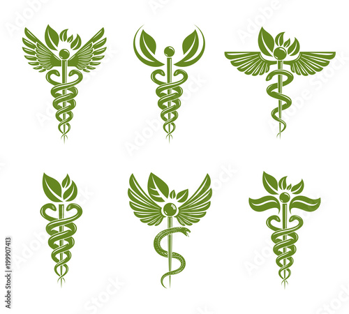 Collection of Caduceus illustrations composed with poisonous snakes and bird wings, healthcare conceptual vector symbols. Alternative medicine theme.