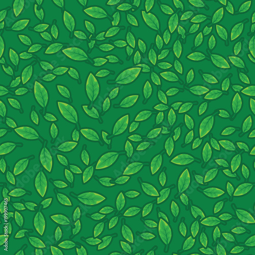 Green leaves pattern background. Pattern foliage plant on green seamless background.
