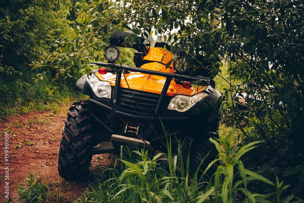 Fototapeta premium ATV Quad Bike in wild nature landscape