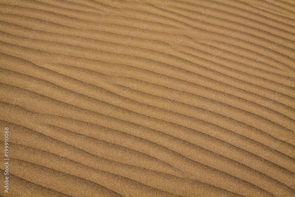 Background of sand ripples with cleary shapes. Background of sand ripples with cleary shapes.