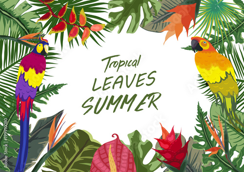 Summer tropical background with flowers. Background with tropical plants - parrot and plants nature