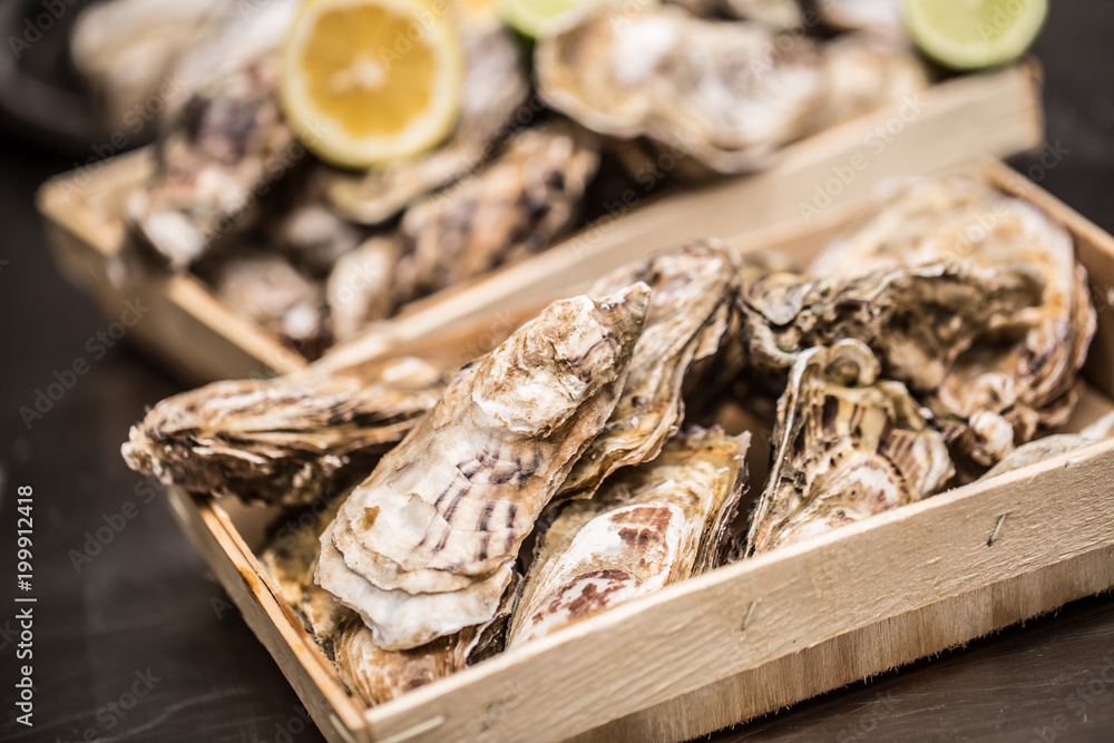 Several oysters in basket with lime and lemon Several oysters in basket with lime and lemon