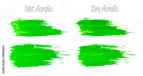 Vector green paint smear stroke stain set. Abstract acrylic textured art illustration. Acrylic Texture Paint Stain Illustration. Hand drawn brush strokes vector elements. Spring and summer colors.