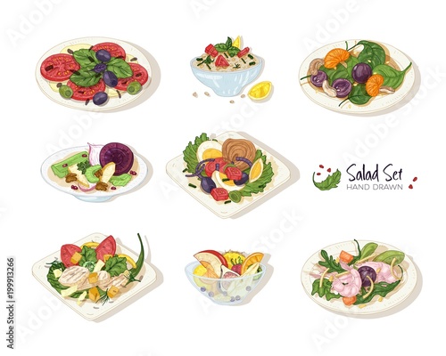 Collection of various salads lying on plates and in bowls isolated on white background - Tabbouleh, Nicoise, Caesar, Waldorf, fruit. Set of hand drawn healthy restaurant meals. Vector illustration.