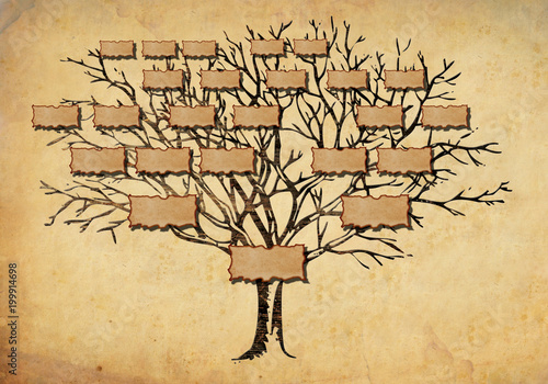 family tree illustration