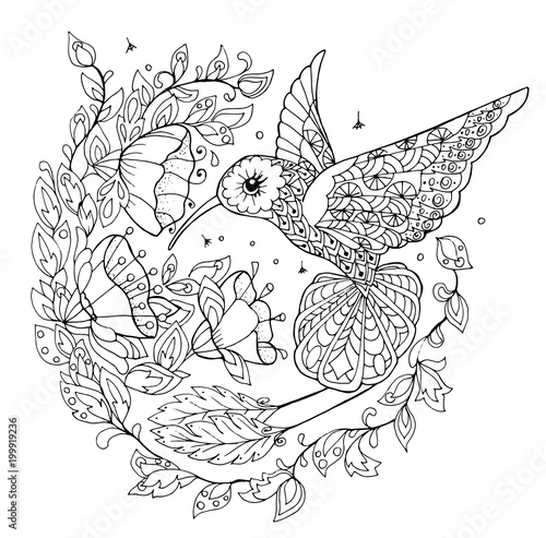 hummingbird coloring book