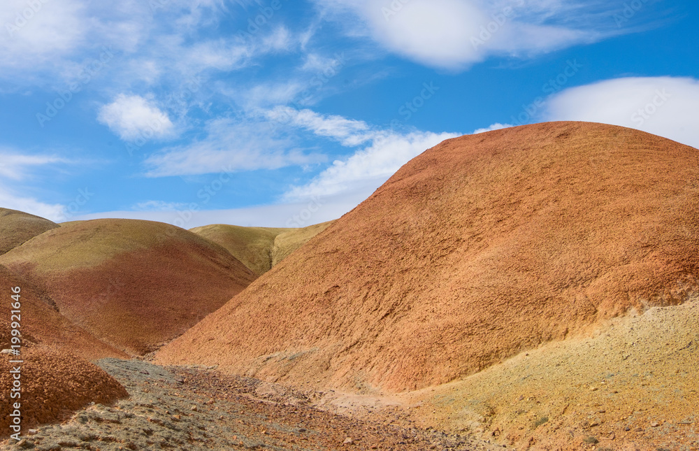 Naklejka premium Desert landscape red