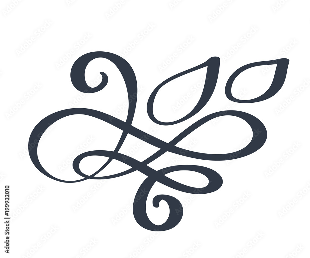 Hand drawn border flourish separator Calligraphy designer elements. Vector vintage wedding illustration Isolated on white background Hand drawn border flourish separator Calligraphy designer elements. Vector vintage wedding illustration Isolated on white background