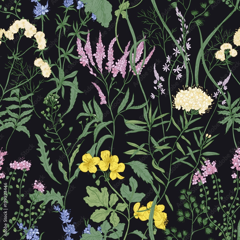 Obraz premium Elegant seamless pattern with trendy wild flowers and herbaceous flowering plants on black background. Beautiful floral backdrop. Colorful vector illustration for textile print, wallpaper.