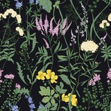 Elegant seamless pattern with trendy wild flowers and herbaceous flowering plants on black background. Beautiful floral backdrop. Colorful vector illustration for textile print, wallpaper.