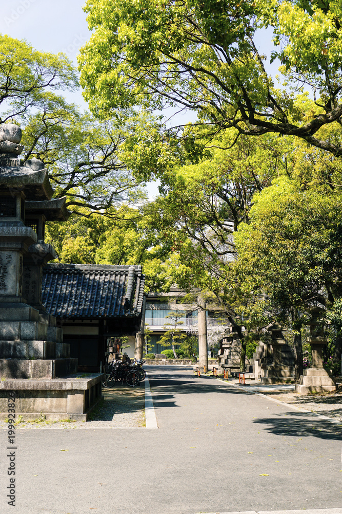 Pathway in Japanese temple park