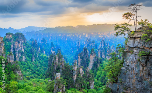 Quartzite sandstone pillars and peaks with green trees and mountains sunset panorama, Zhangjiajie national forest park, Hunan province, China