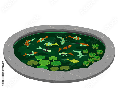 Pond Koi Fishes Design Illu...