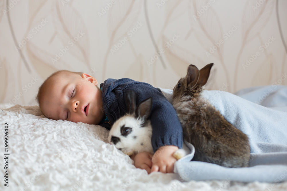 Cute little baby boy, sleeping with pet rabbits Cute little baby boy, sleeping with pet rabbits