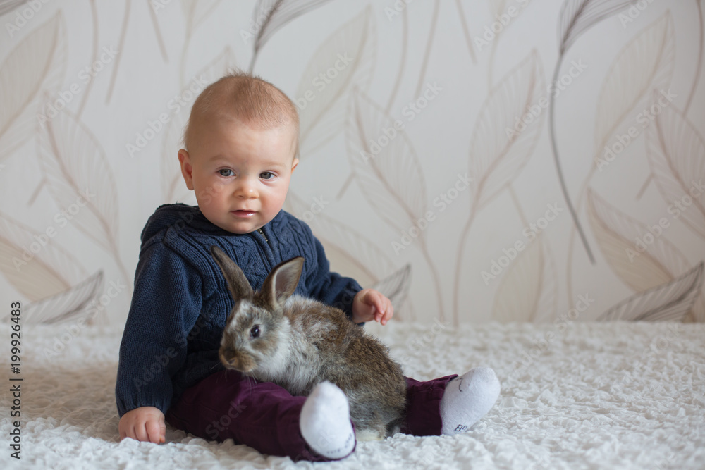 Cute little baby boy, playing with pet rabbits at home