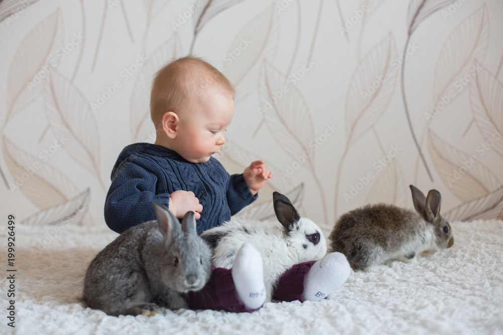 Cute little baby boy, playing with pet rabbits at home Cute little baby boy, playing with pet rabbits at home