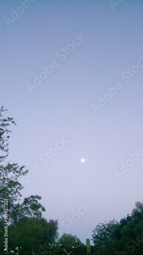 Wallpaper Mural Ao luar Torontodigital.ca