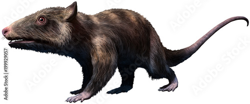 Slika na platnu Purgatorius from the Cretaceous era 3D illustration
