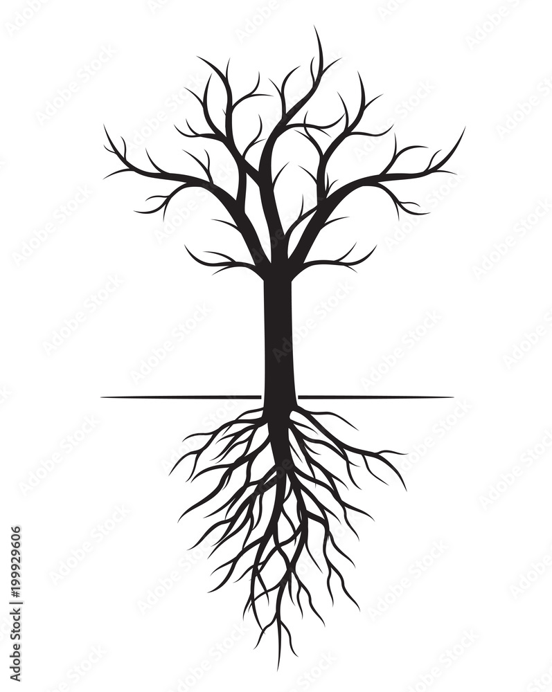Obraz premium Black naked Tree with Roots. Vector Illustration and graphic element.