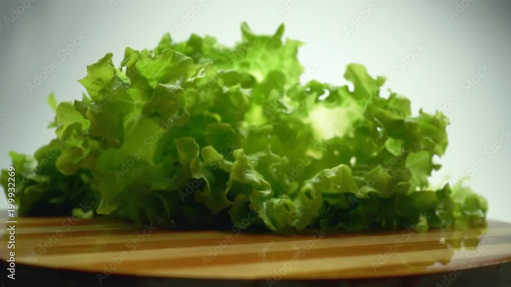 Lettuce falling and splashing slow motion. 4K Lettuce falling and splashing slow motion. 4K