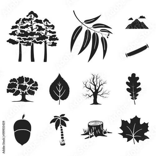 Forest and nature black icons in set collection for design. Forest life vector symbol stock web illustration.