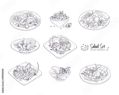 Set of different salads served on plates and in bowls hand drawn with contour lines on white background - Tabbouleh, Nicoise, Caesar, Waldorf, fruit. Monochrome realistic vector illustration.