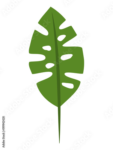 tree palm leaft exotic icon vector illustration design