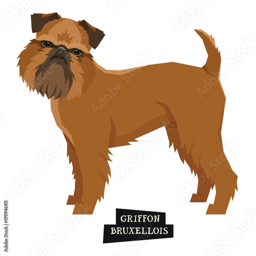 Dog collection Griffon Bruxellois Geometric style Isolated object