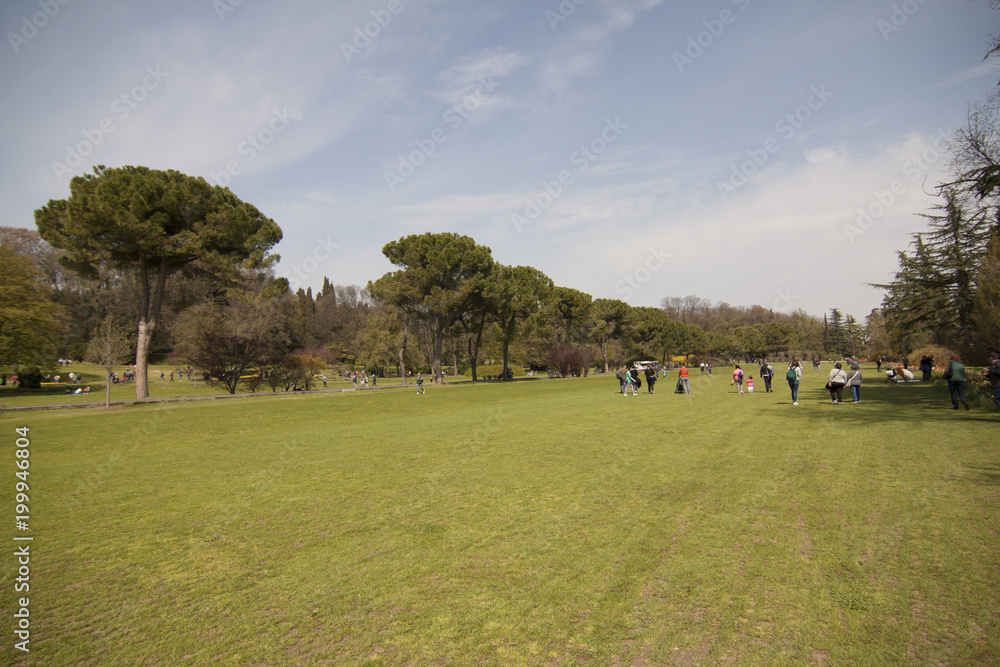 Obraz premium parco Sicurtà Valeggio sul Mincio Verona Italia