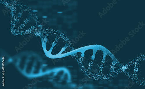 DNA research molecule. 3D illustration. Analysis of structure human genome photo