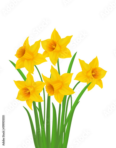 Bouquet with flowers daffodils