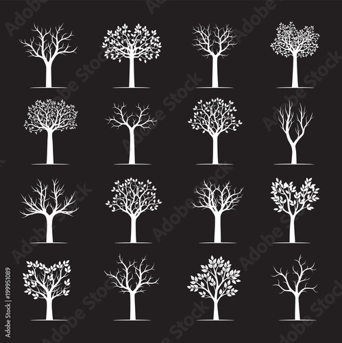 Set white Trees on black background. Vector Illustration.