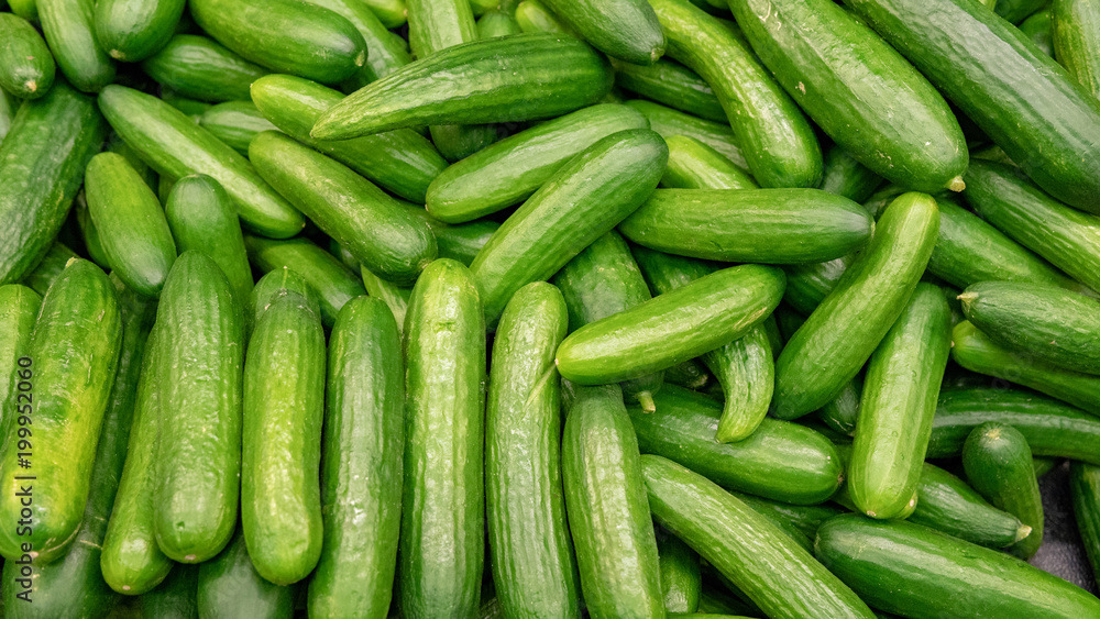 Cucumber Cucumber