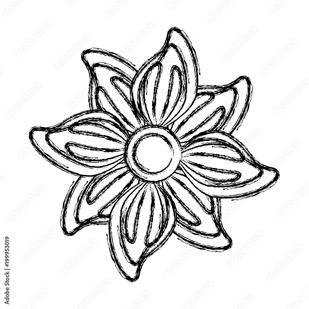 cute flower decorative icon vector illustration design cute flower decorative icon vector illustration design