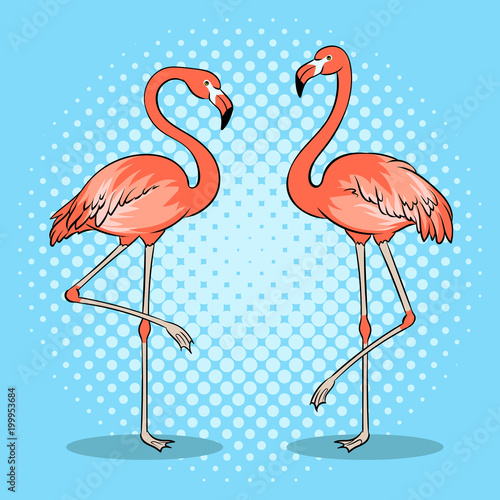 Pink flamingo bird pop art vector illustration