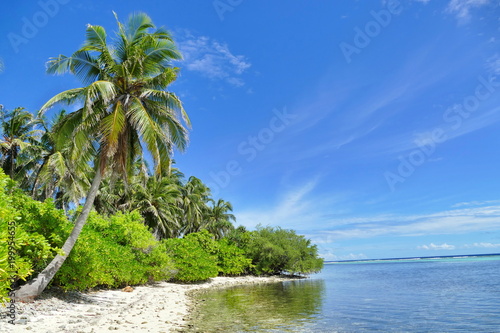 Azure beach on Maldive island with green palm trees © ommbeu
