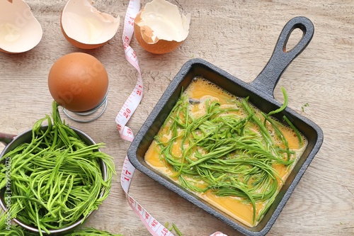 Acacia pennata with egg