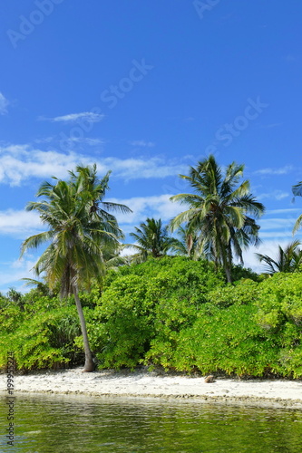Azure beach on Maldive island with green palm trees