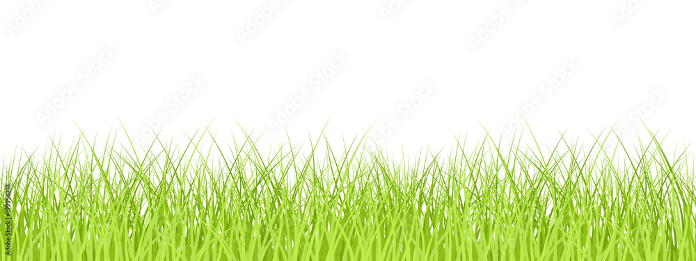 Grass seamless border isolated, vector illustration Grass seamless border isolated, vector illustration