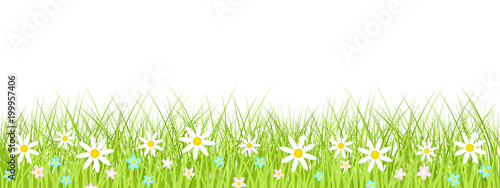 Spring grass, flower seamless border, Easter greeting card decoration element, flat vector illustration isolated on transparent background. Cute design elements with spring grass and meadow flowers.