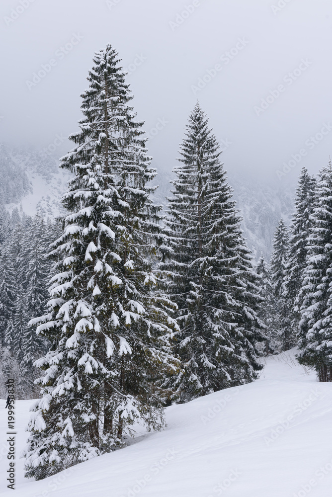 winter wonderland in Austria 