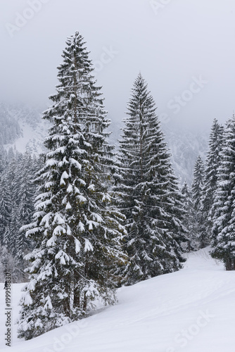 winter wonderland in Austria  © artepicturas