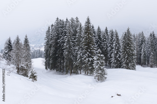 winter wonderland in Austria 