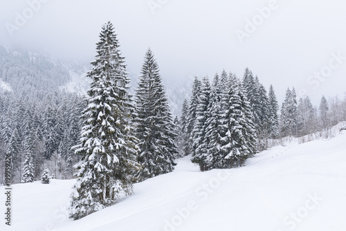 winter wonderland in Austria  © artepicturas
