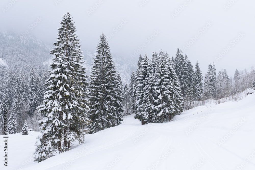 alps in winter with heavy snow alps in winter with heavy snow