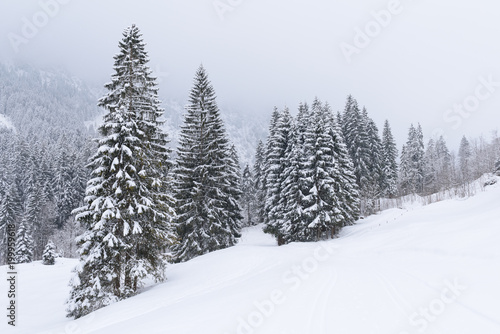alps in winter with heavy snow  © artepicturas
