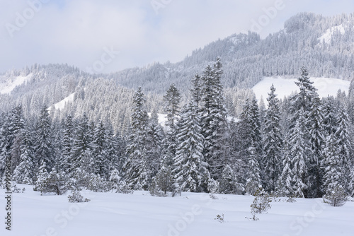 alps in winter with heavy snow 
