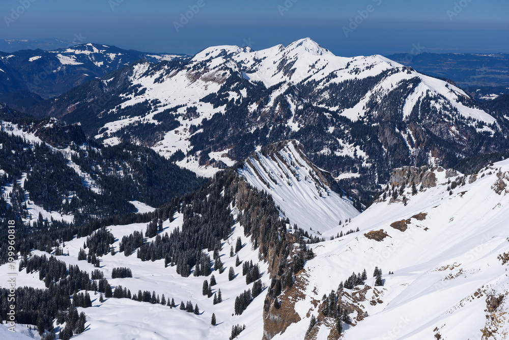 Obraz premium winter landscape snow 