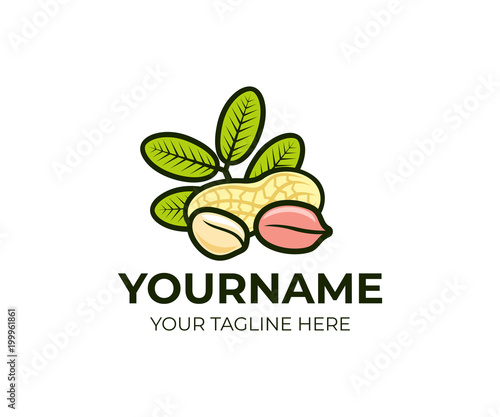Peanuts plant and kernels of nuts with leaves, logo template. Dried peeled and unpeeled peanut nut, fruit with leaf, vector design. Nut nutrition, natural ,organic and vegan food, illustration