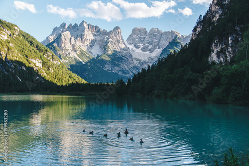 Lago di Landro with family of ducks in the foreground, Dolomites, Italy